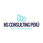 NS CONSULTING PERU S.A.C.